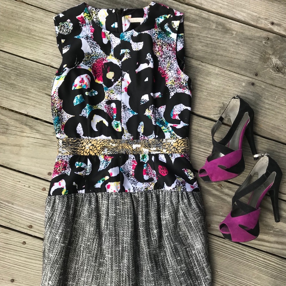 New RAchel Roy Dress